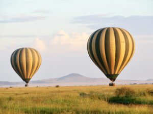 Lee más sobre el artículo Tanzania Njema