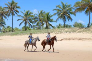 Lee más sobre el artículo Colores de Brasil con Playa do Guarajuba