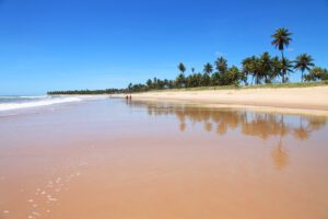 Lee más sobre el artículo Colores de Brasil con Playa do Forte